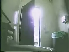 猫をジャンプしながらLecherousうめき声大声 女性 アダルト 一徹
