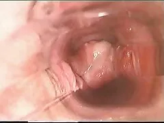 売春はただのサークルです。 鈴木 いってつ 無料 動画